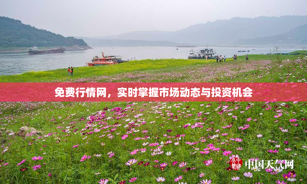 免费行情网，实时掌握市场动态与投资机会