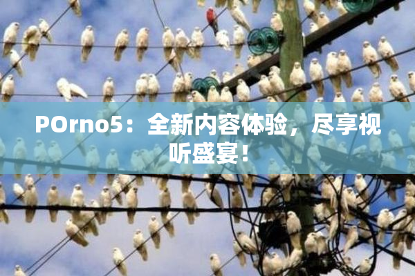 POrno5：全新内容体验，尽享视听盛宴！