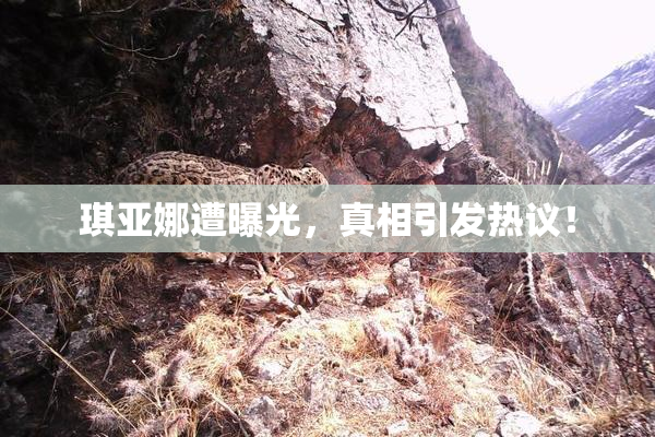 琪亚娜遭曝光，真相引发热议！