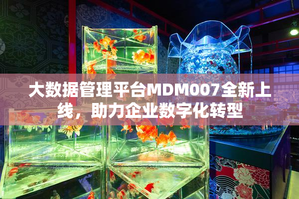 大数据管理平台MDM007全新上线，助力企业数字化转型
