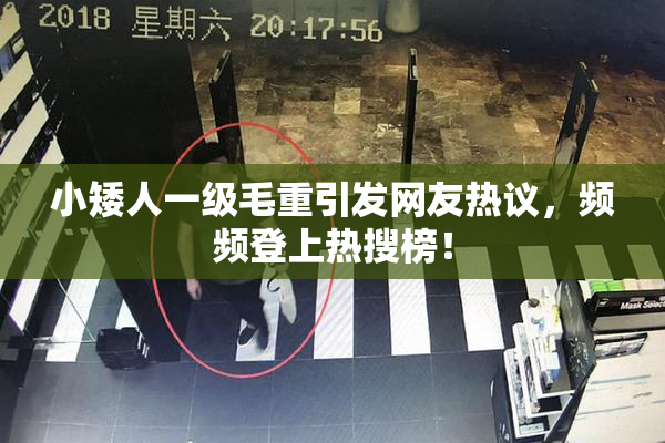 小矮人一级毛重引发网友热议，频频登上热搜榜！