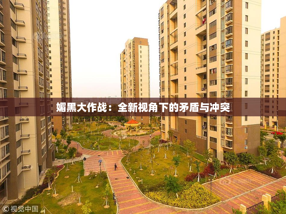 媚黑大作战：全新视角下的矛盾与冲突