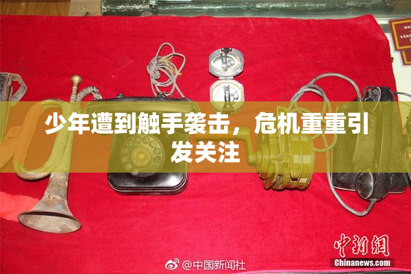 少年遭到触手袭击，危机重重引发关注