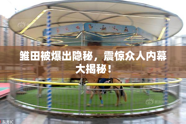 雏田被爆出隐秘，震惊众人内幕大揭秘！