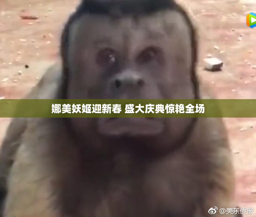 娜美妖姬迎新春 盛大庆典惊艳全场