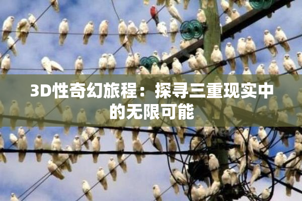 3D性奇幻旅程：探寻三重现实中的无限可能