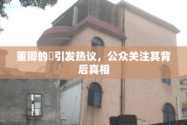 董卿的婬引发热议，公众关注其背后真相