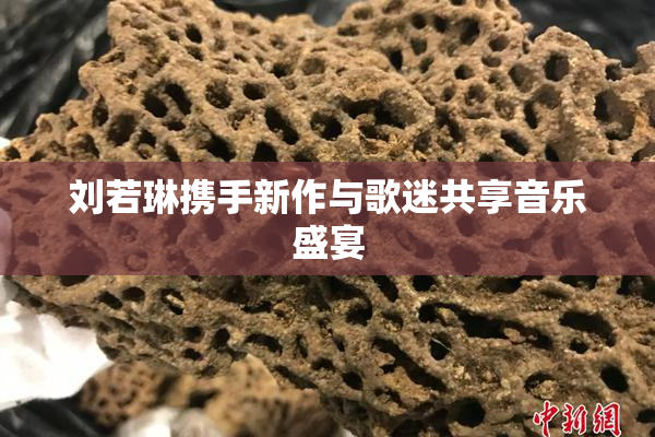 刘若琳携手新作与歌迷共享音乐盛宴