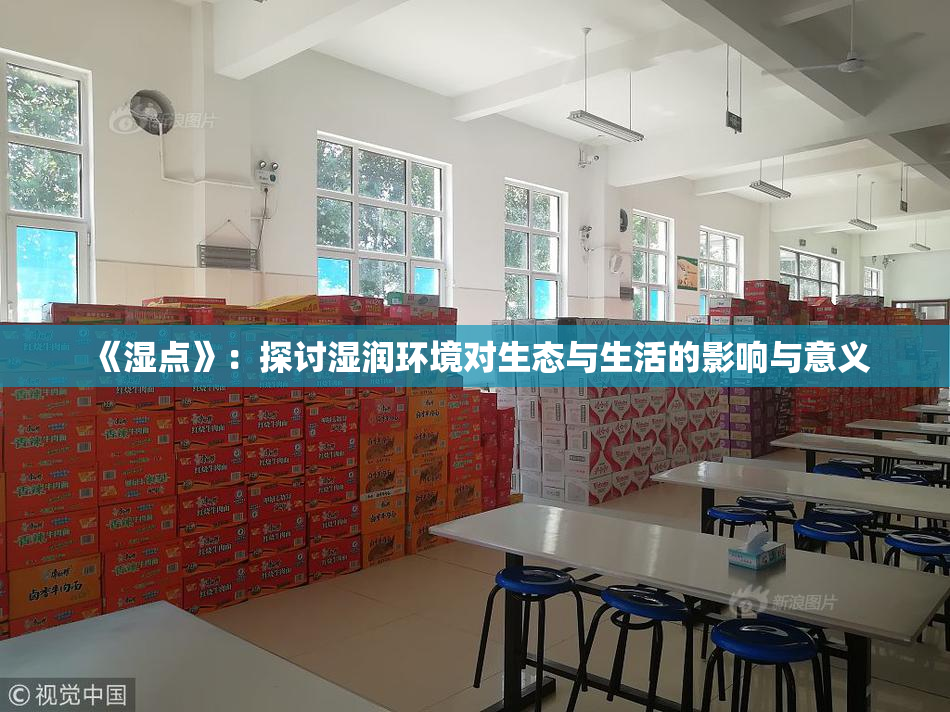 《湿点》：探讨湿润环境对生态与生活的影响与意义