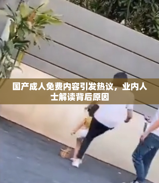 国产成人免费内容引发热议，业内人士解读背后原因