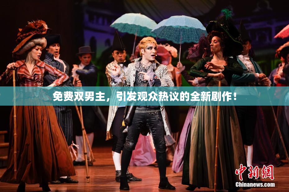 免费双男主，引发观众热议的全新剧作！