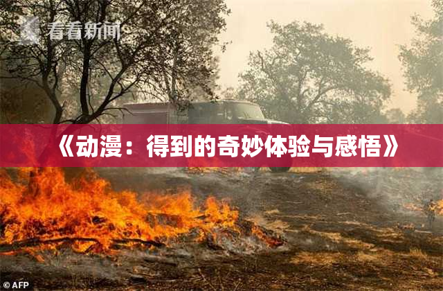 《动漫：得到的奇妙体验与感悟》