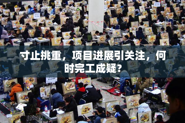 寸止挑重，项目进展引关注，何时完工成疑？