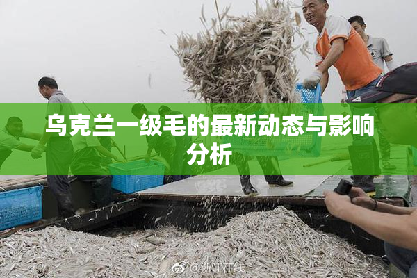 乌克兰一级毛的最新动态与影响分析