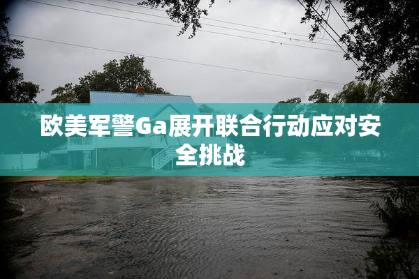 欧美军警Ga展开联合行动应对安全挑战