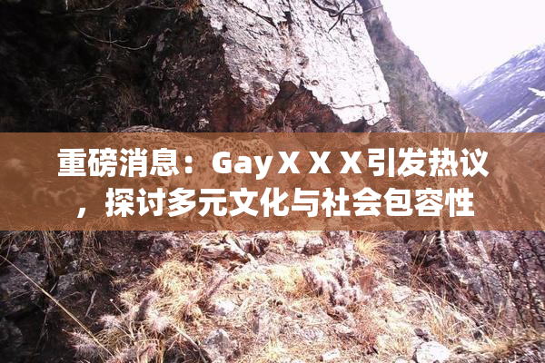 重磅消息：GayⅩⅩⅩ引发热议，探讨多元文化与社会包容性