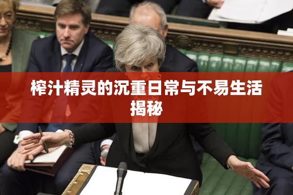 榨汁精灵的沉重日常与不易生活揭秘