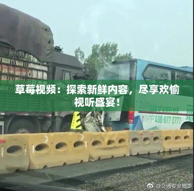 草莓视频：探索新鲜内容，尽享欢愉视听盛宴！