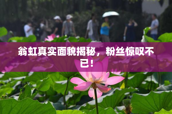 翁虹真实面貌揭秘，粉丝惊叹不已！