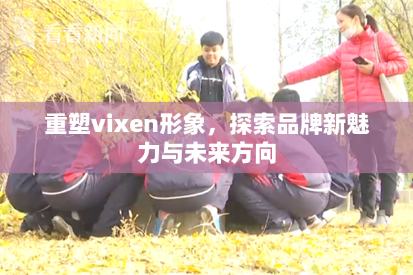 重塑vixen形象，探索品牌新魅力与未来方向