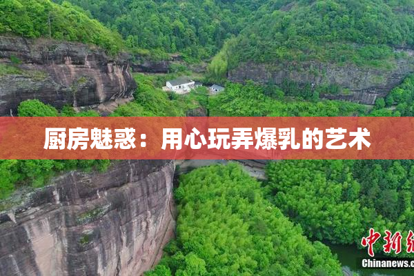 厨房魅惑：用心玩弄爆乳的艺术