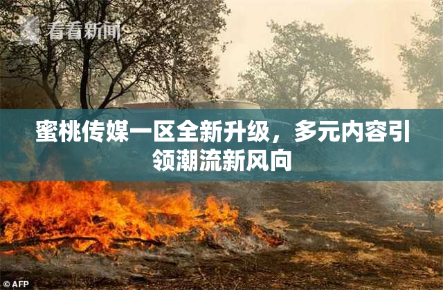 蜜桃传媒一区全新升级，多元内容引领潮流新风向