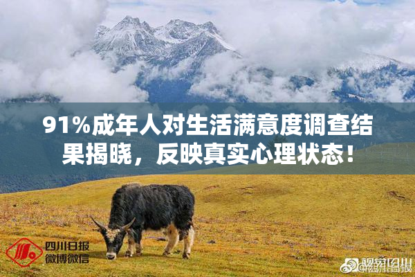 91%成年人对生活满意度调查结果揭晓，反映真实心理状态！