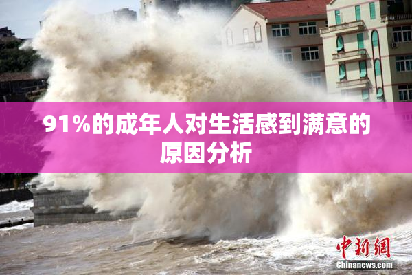 91%的成年人对生活感到满意的原因分析