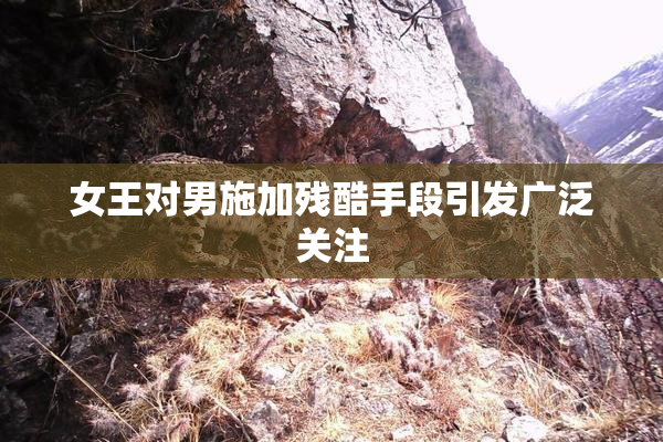 女王对男施加残酷手段引发广泛关注