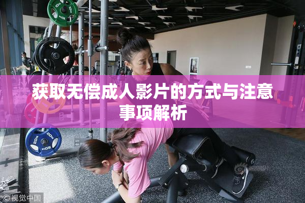 获取无偿成人影片的方式与注意事项解析