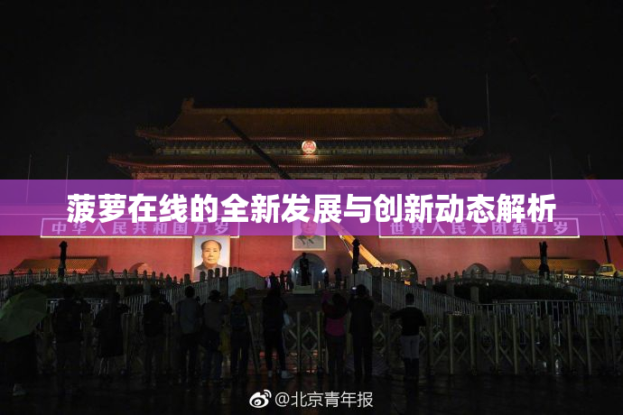 菠萝在线的全新发展与创新动态解析