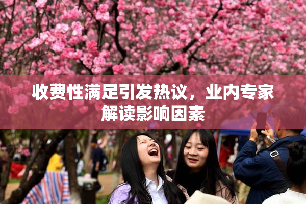 收费性满足引发热议，业内专家解读影响因素
