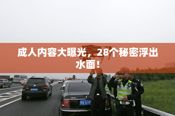成人内容大曝光，28个秘密浮出水面！