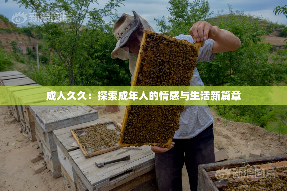 成人久久：探索成年人的情感与生活新篇章