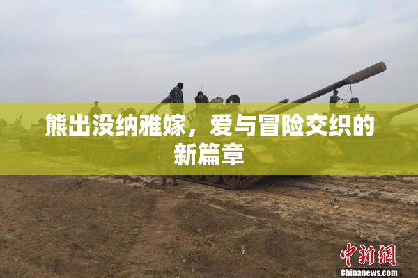 熊出没纳雅嫁，爱与冒险交织的新篇章