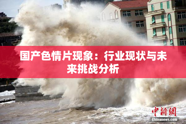 国产色情片现象：行业现状与未来挑战分析
