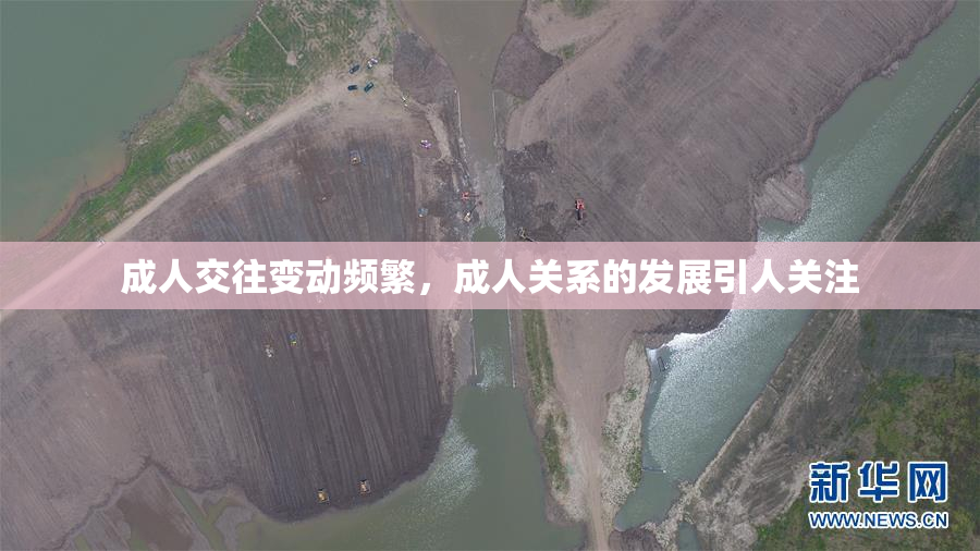 成人交往变动频繁，成人关系的发展引人关注