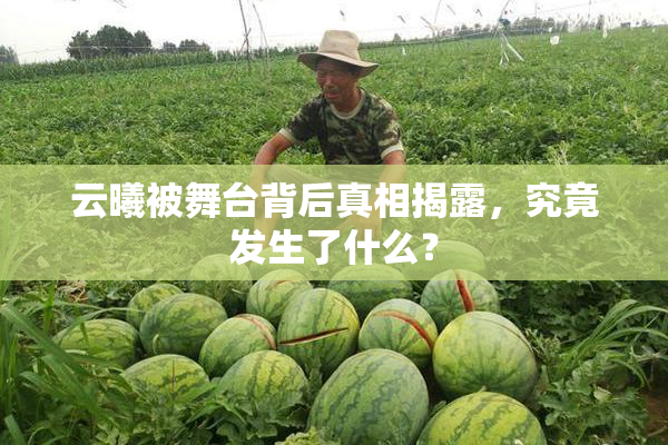 云曦被舞台背后真相揭露，究竟发生了什么？