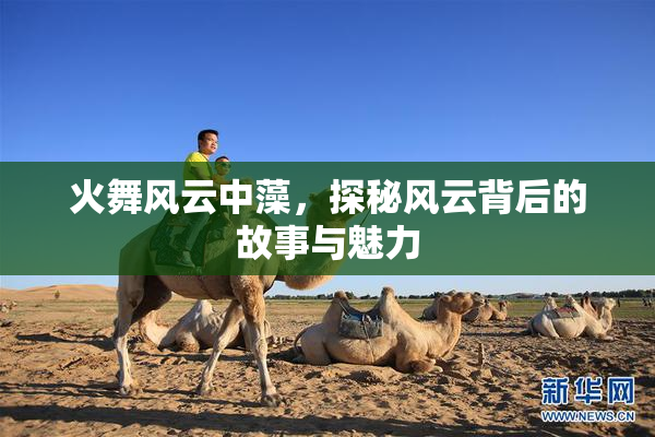 火舞风云中藻，探秘风云背后的故事与魅力