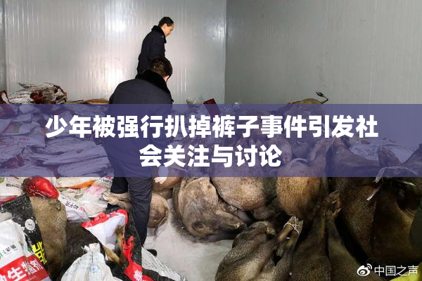 少年被强行扒掉裤子事件引发社会关注与讨论