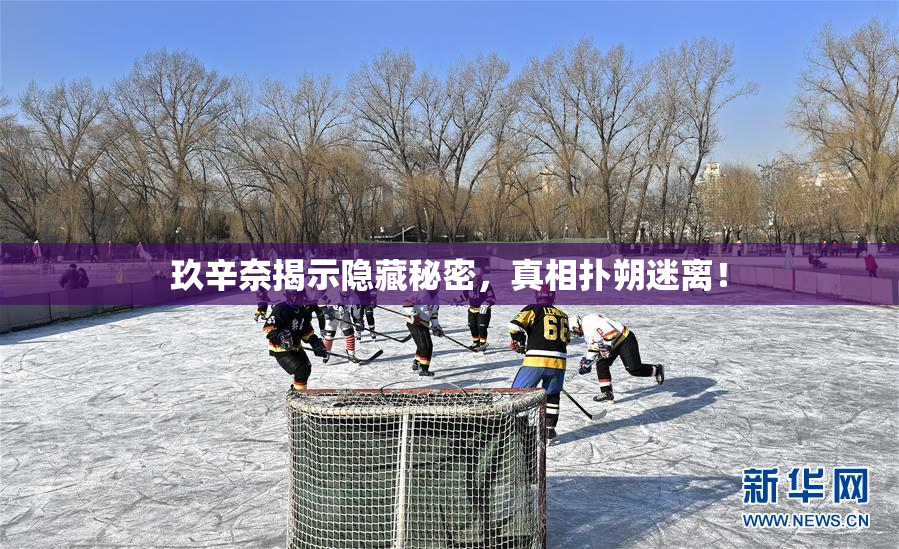 玖辛奈揭示隐藏秘密，真相扑朔迷离！