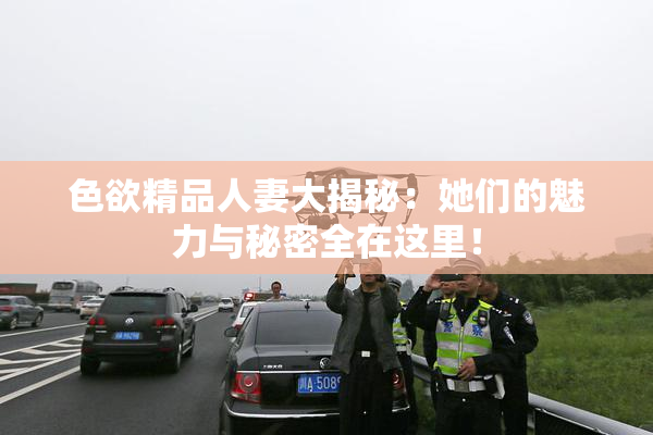 色欲精品人妻大揭秘：她们的魅力与秘密全在这里！