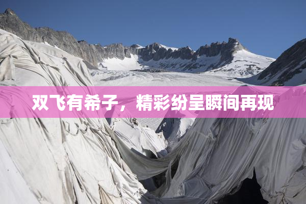 双飞有希子，精彩纷呈瞬间再现