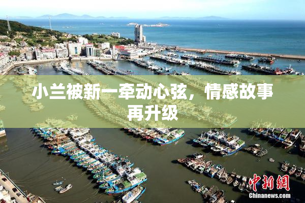 小兰被新一牵动心弦，情感故事再升级