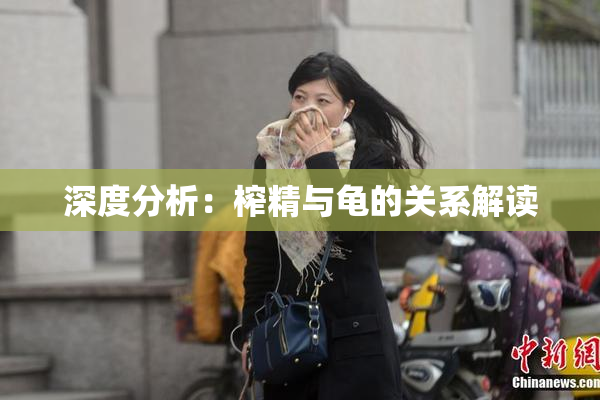 深度分析：榨精与龟的关系解读