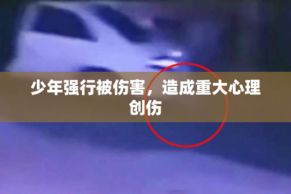 少年强行被伤害，造成重大心理创伤