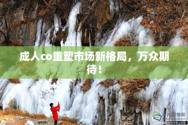 成人co重塑市场新格局，万众期待！