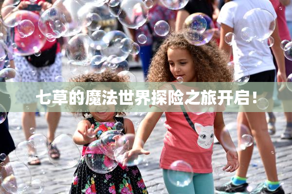 七草的魔法世界探险之旅开启！