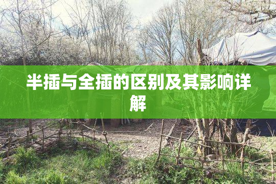 半插与全插的区别及其影响详解