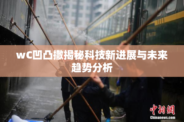 wC凹凸撒揭秘科技新进展与未来趋势分析